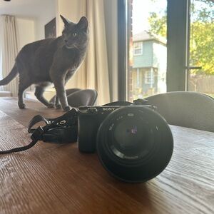 Sony Alpha a6500 camera with Rokinon 50mm f/1.2 lens